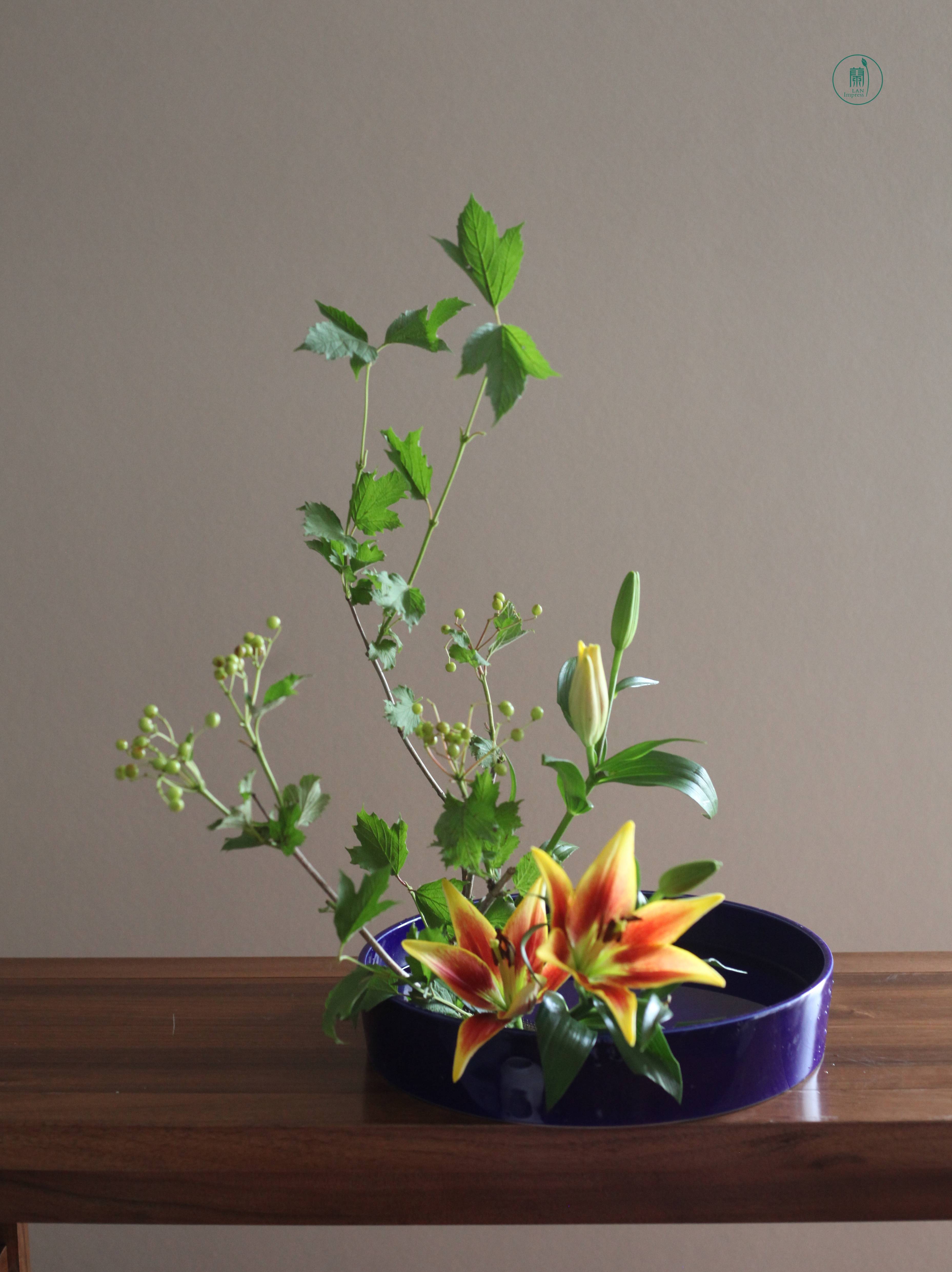 西安蘭印象小原流花道|生活美学课堂