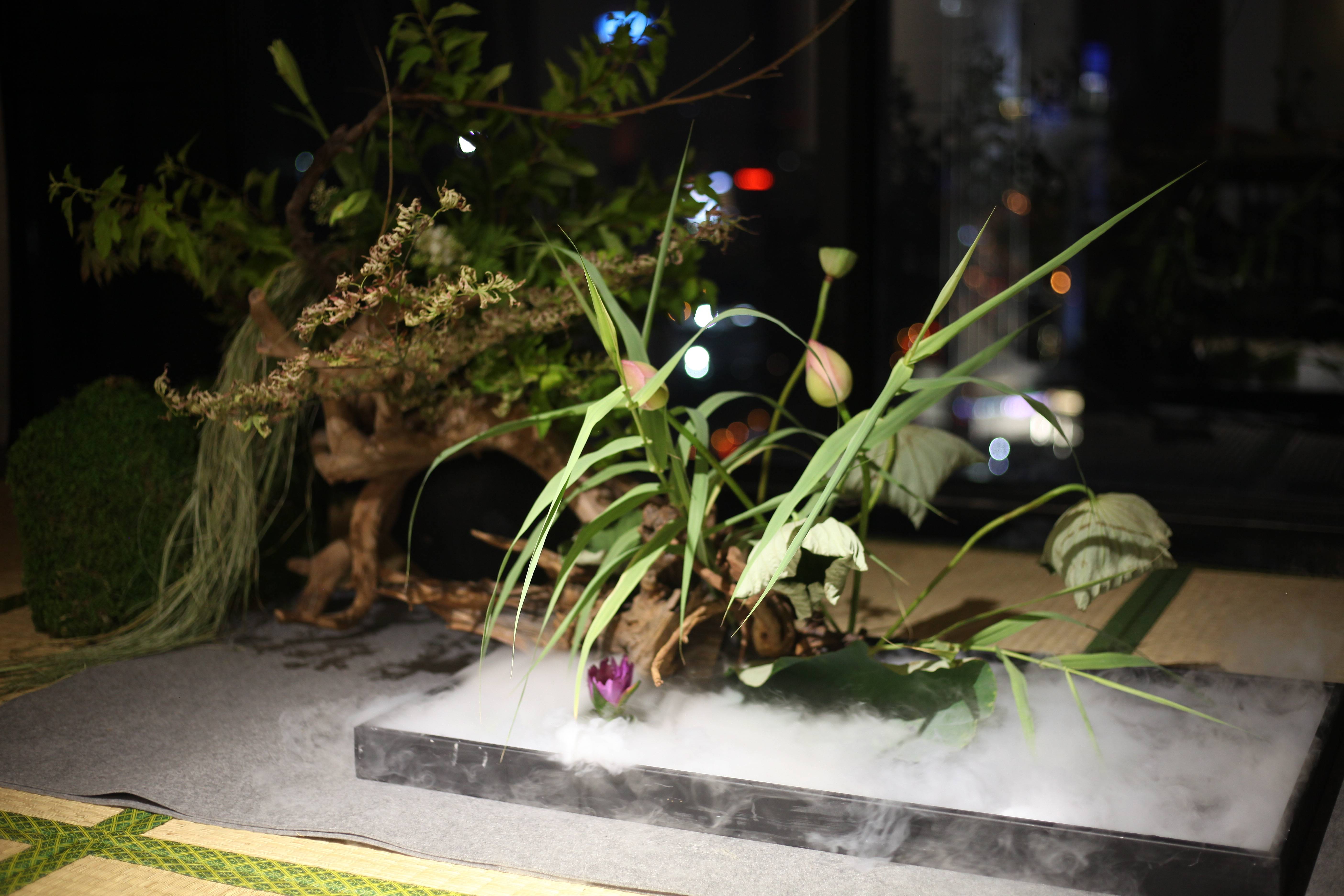 蘭印象支部夏日雅集·风动荷香|东方美学#茶会雅集花道布置