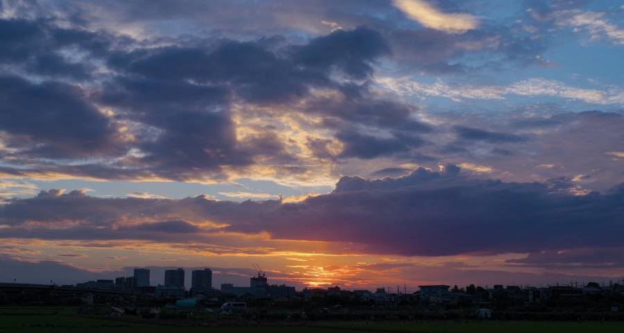 家电线下渠道商的生机与死胡同-家电圈官网