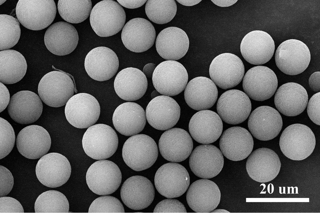多孔氮化硼陶瓷表面氢氧化物附着电极箔截面掺铝四钴案例细节图:主要