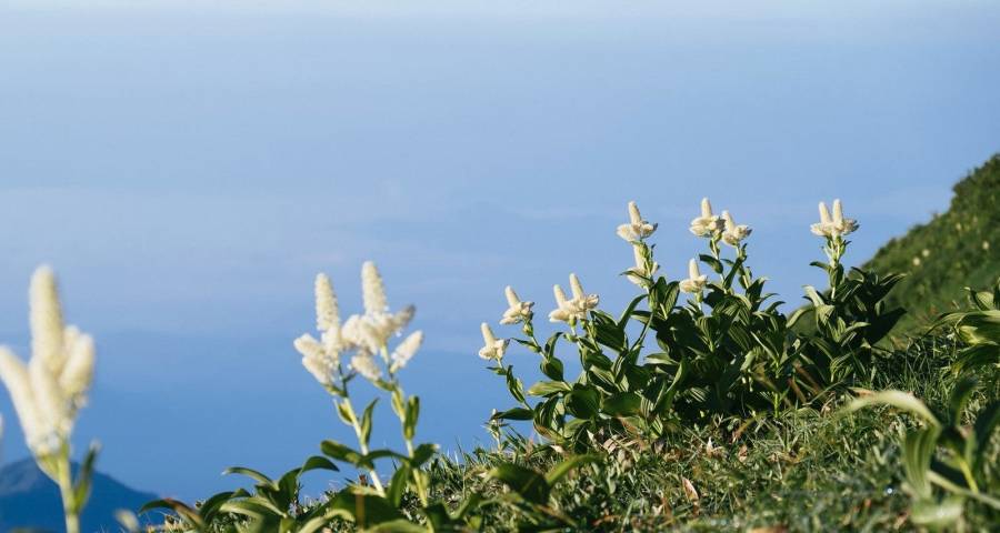 家电业新政策再来,美的抢市京东下沉松下涨价海信美菱上新-家电圈官网