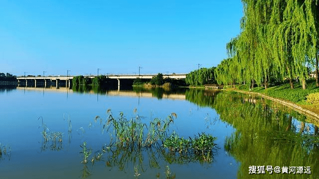 河南洛阳隐藏着一个烟柳成荫的美丽大花园，你去过吗？一起看看吧