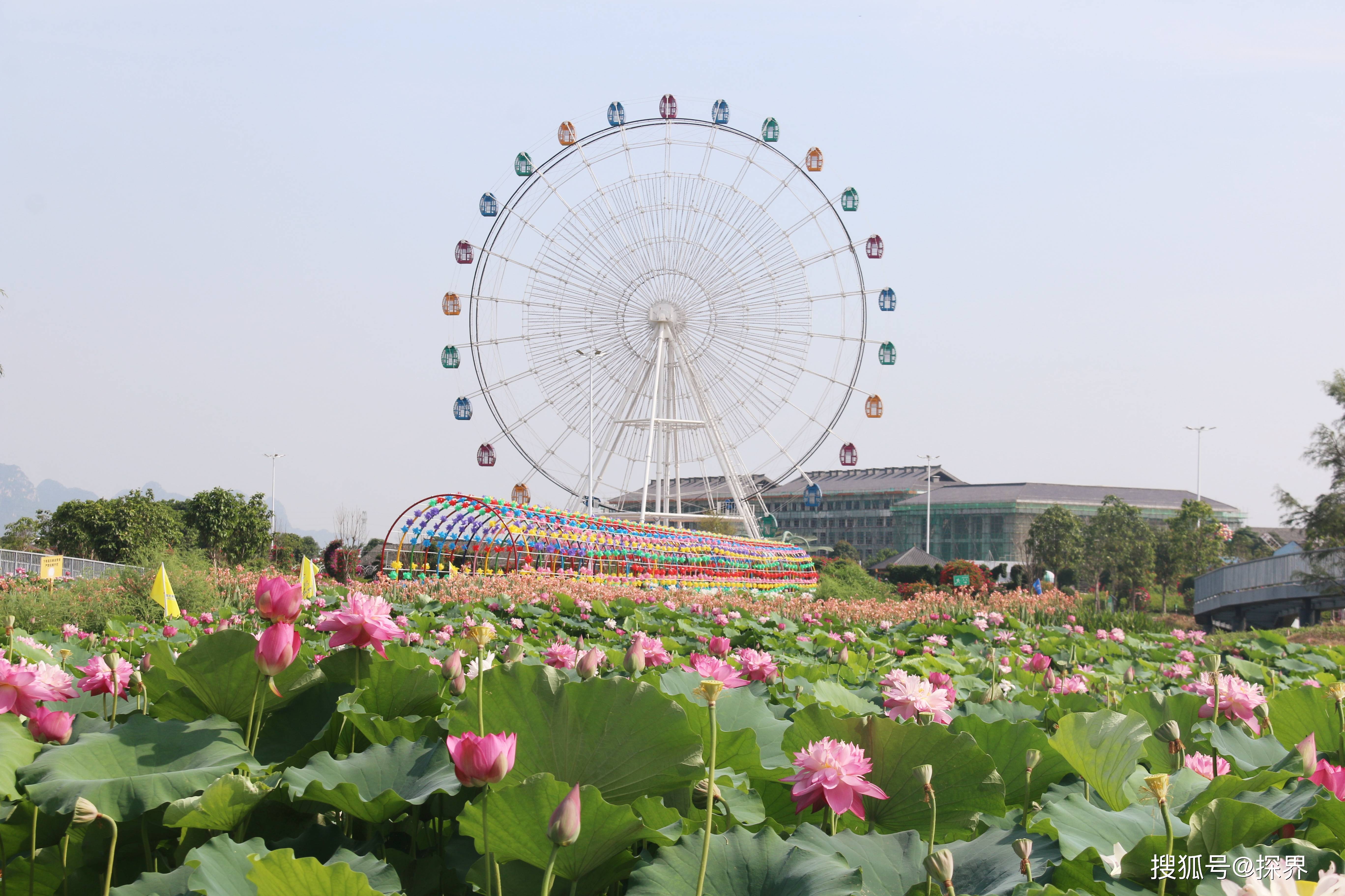 湖南永州湖美田园图片