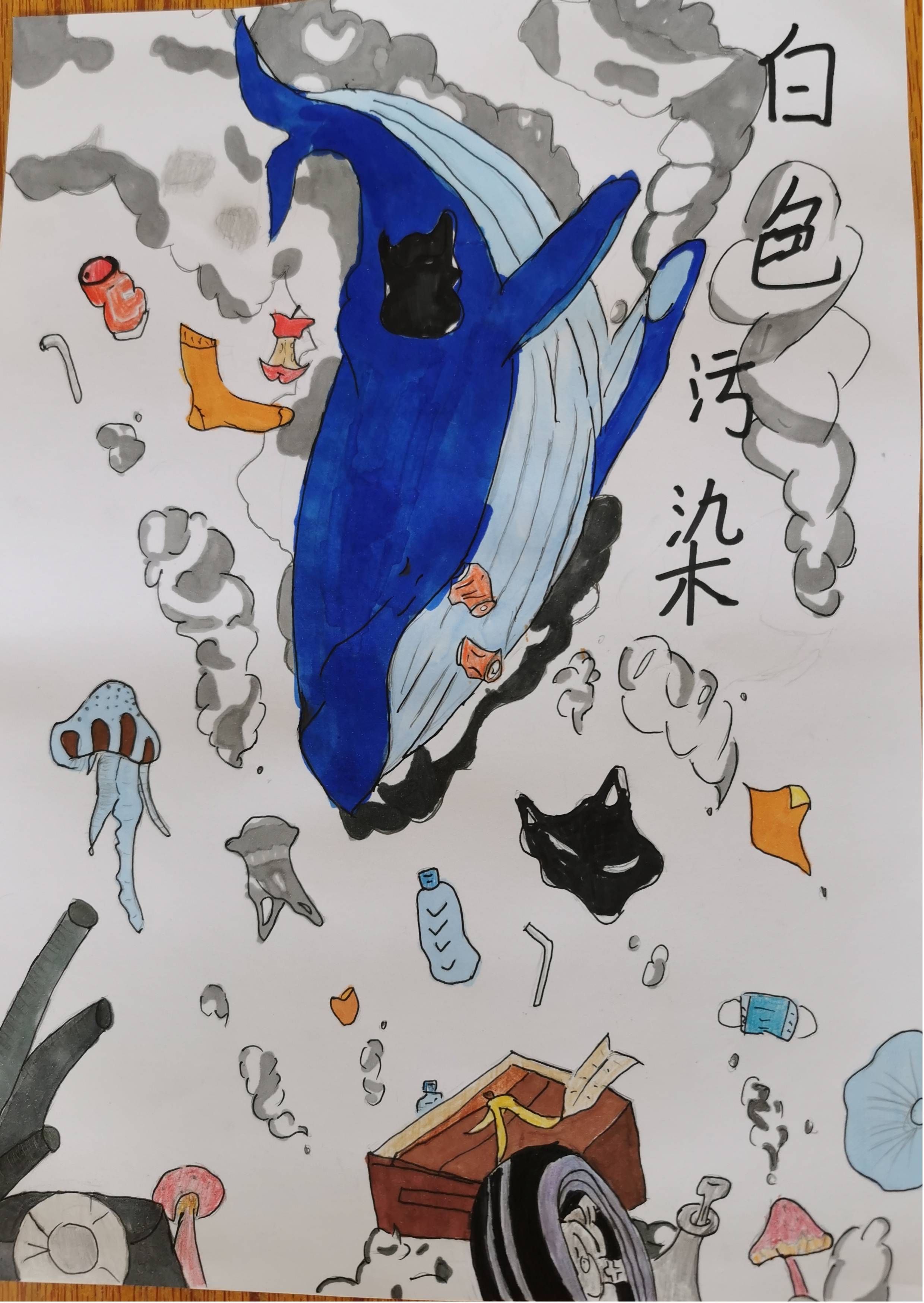 濮阳市第五中学八年级双减暑假化学特色作业展示