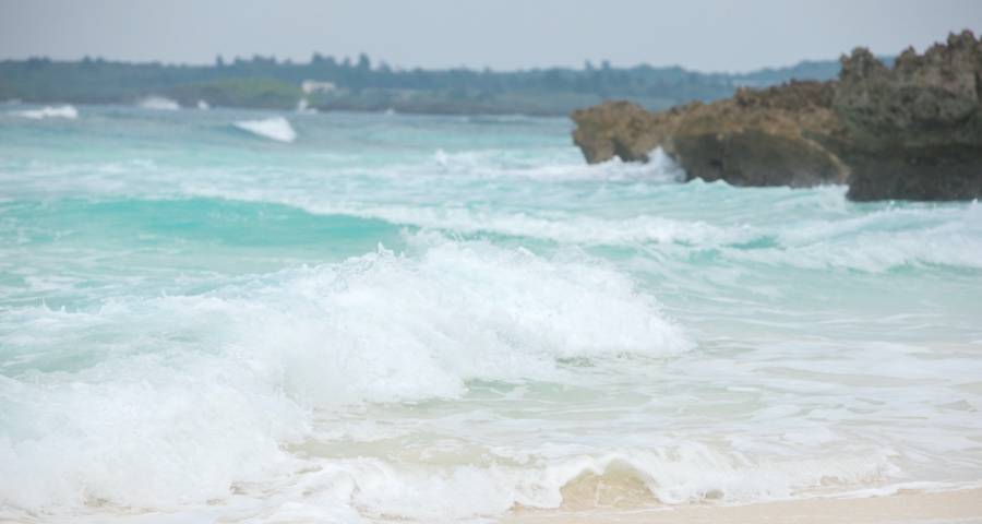 经销商为何总喜欢卖山寨杂牌家电?-家电圈官网