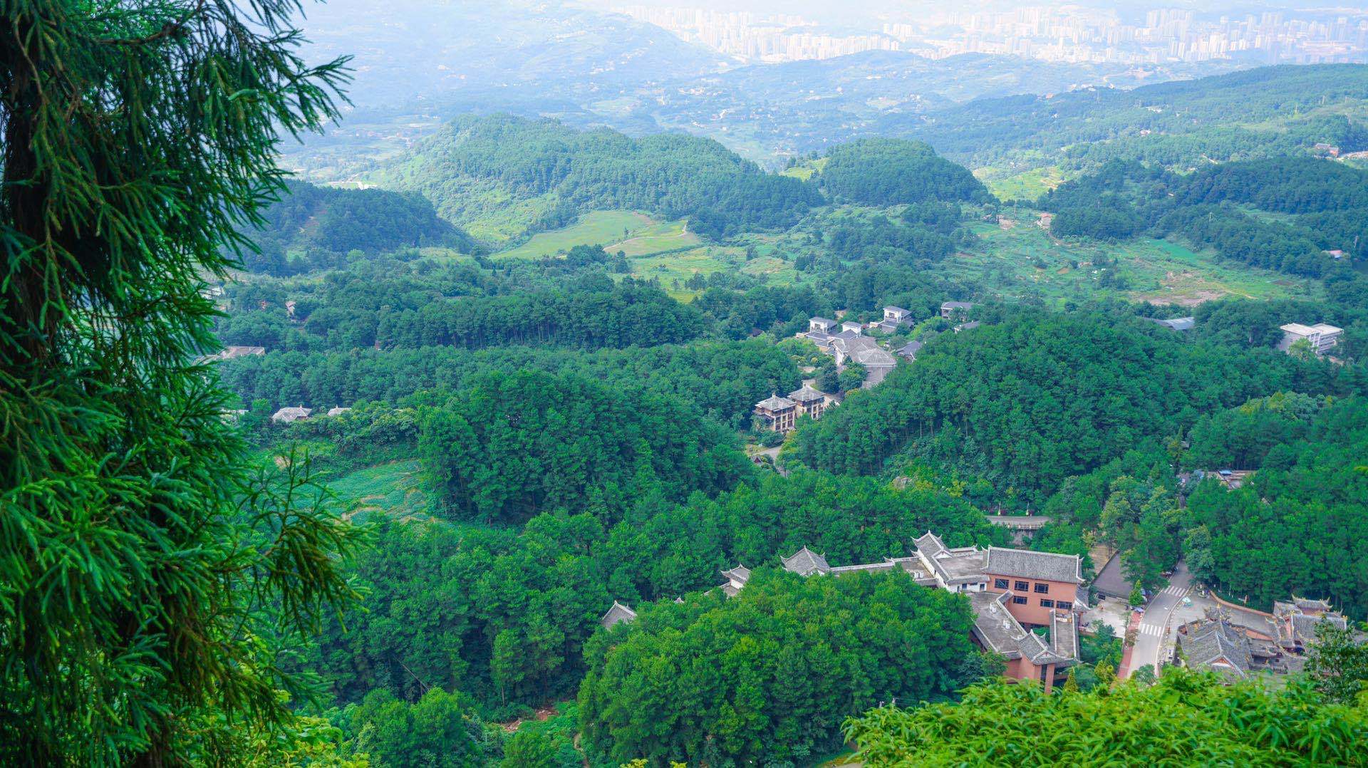 重庆:夏日里綦江古剑山满目翠绿_林海_树木_定湖