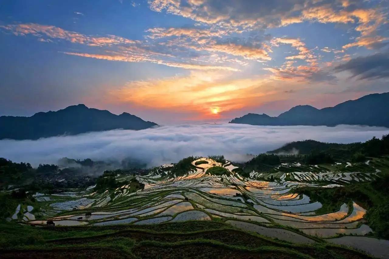 原创丽水14篇美景诗联作品