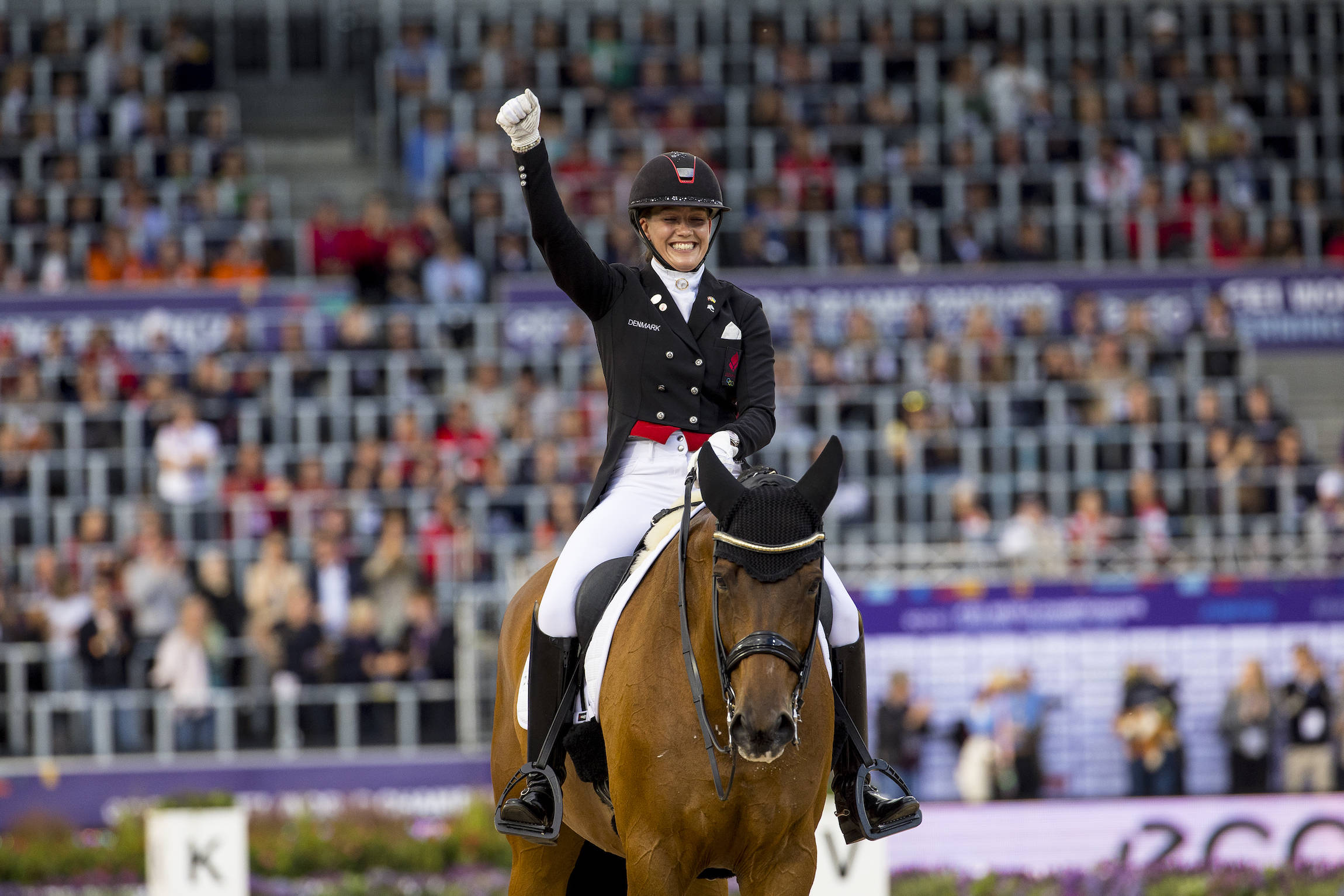 世锦赛盛装舞步特别大奖赛26岁的英国骑手夏洛特弗莱夺冠