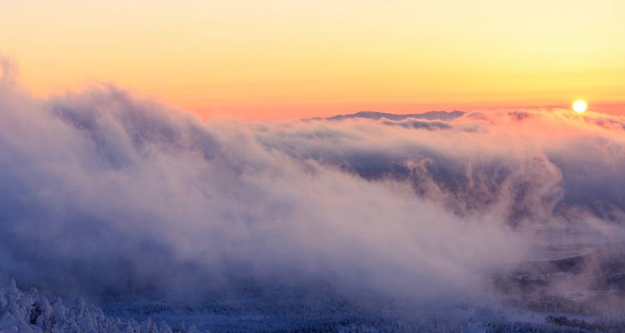 家电山寨服务到底动了谁的奶酪?又伤了谁的心?-家电圈官网