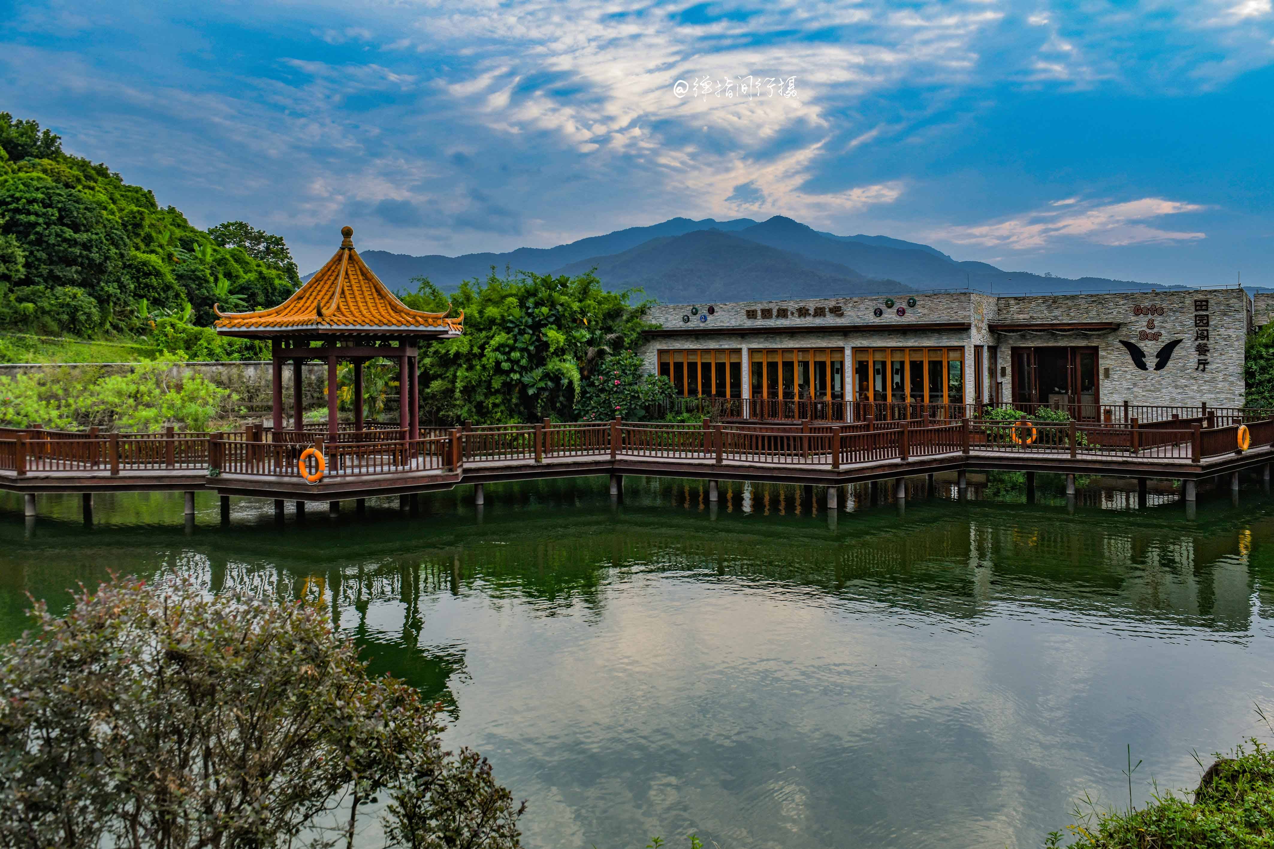 藏于密林的低调酒店,平时一房难求,成广东云浮"佛系"度假热选