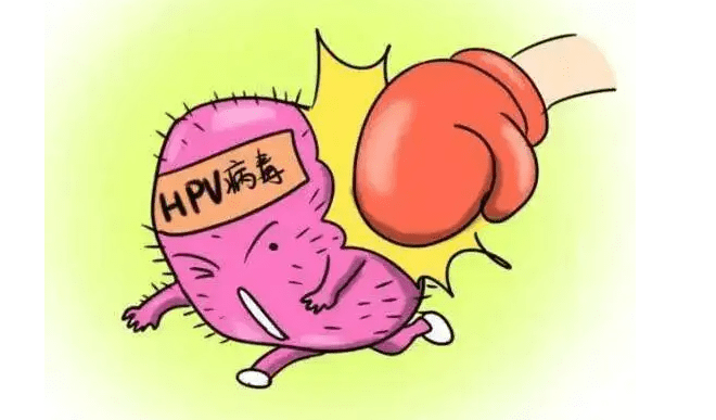 hpv感染是否需要性伴侣一同治疗?_病毒_患者_传播