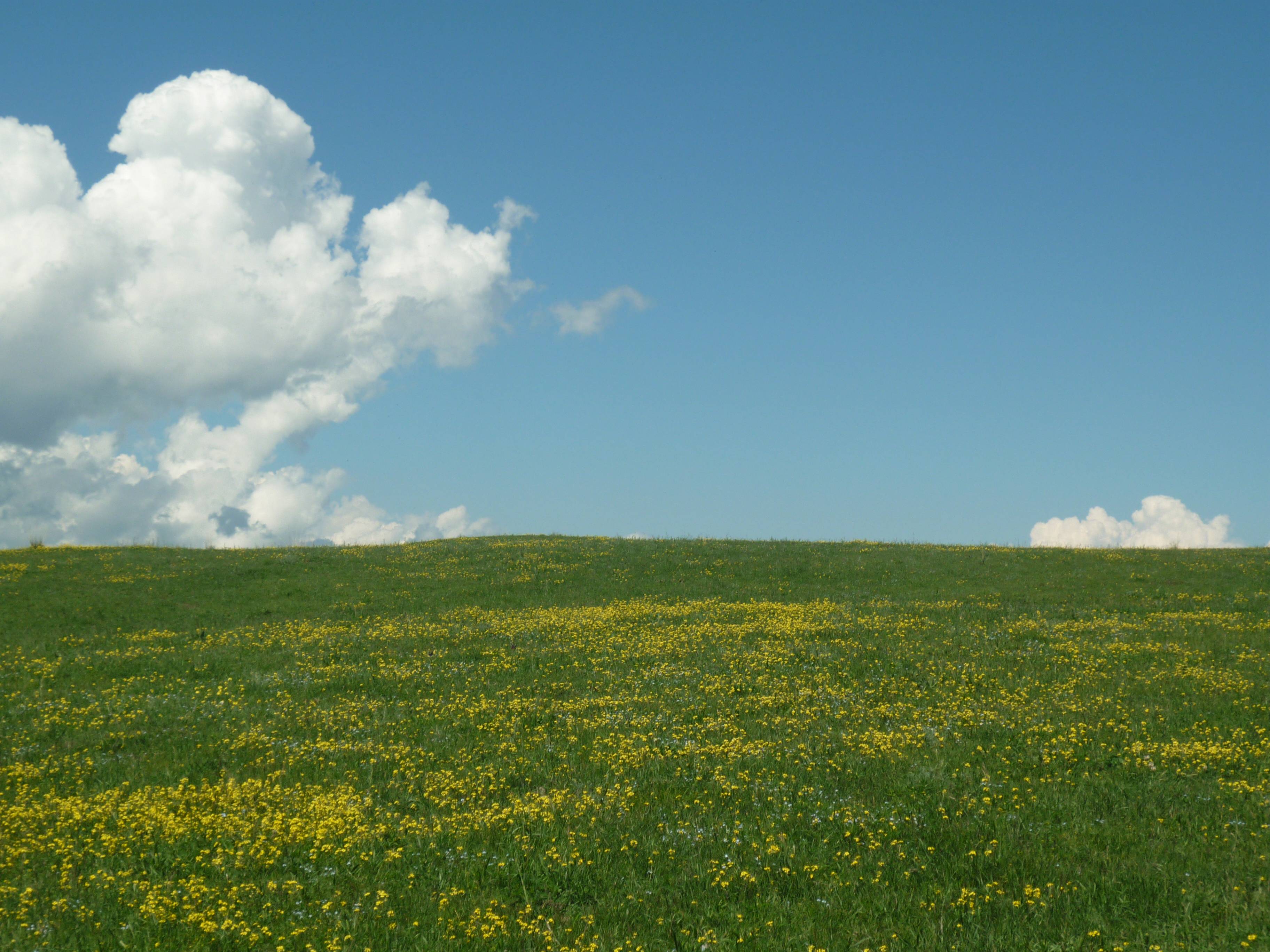 (原创之二)_儿女_父亲_司法