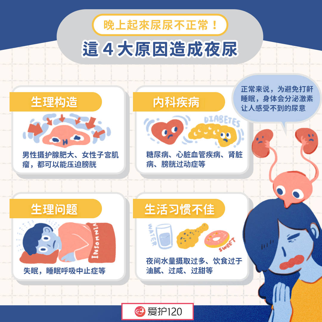 生理问题:失眠,睡眠呼吸中止症等.