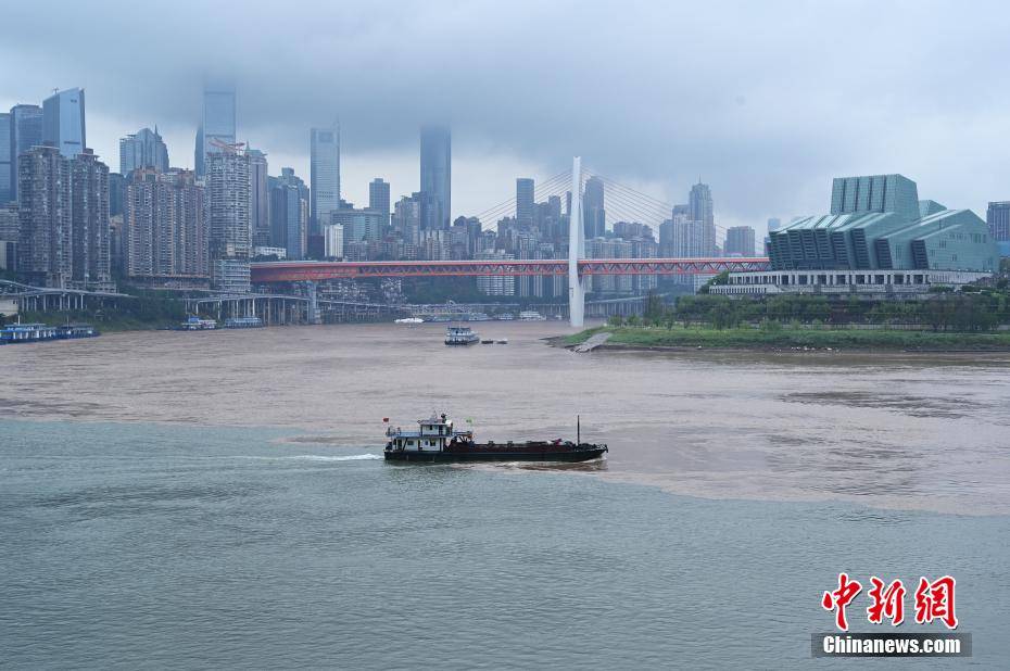 长江嘉陵江涨水重庆两江交汇现鸳鸯锅景观