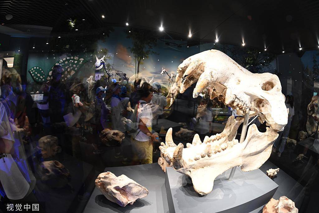 全球首批100个地质遗产地名录:中国七地入选-搜狐大视野-搜狐新闻