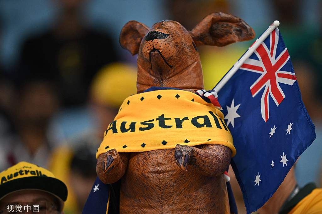 高清图澳大利亚vs丹麦赛前袋鼠球迷插国旗助威