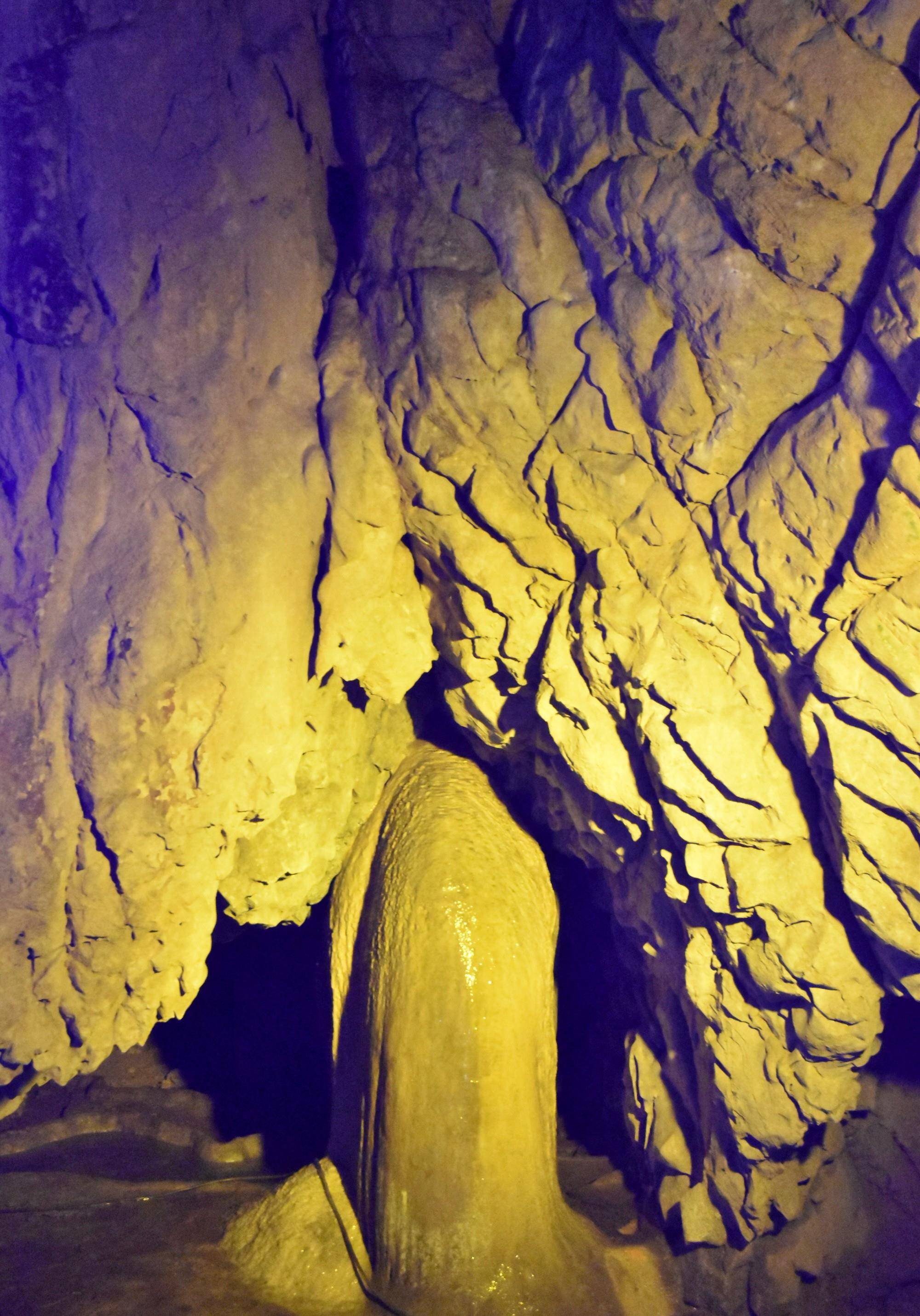 巢湖市银屏山仙人洞,千年牡丹生长于洞口岩石峭壁上_刘玉超