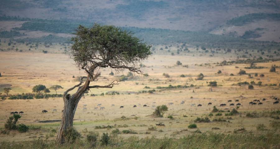 冰箱企业的经营创新战正等待引爆-家电圈官网