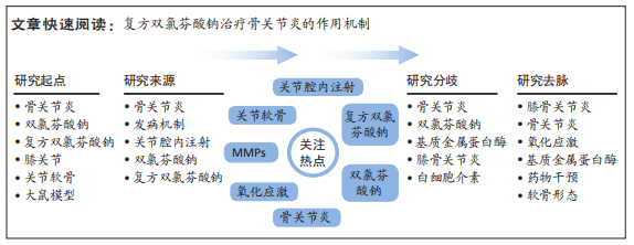 复方双氯芬酸钠对骨关节炎大鼠软骨形态及氧化应激的