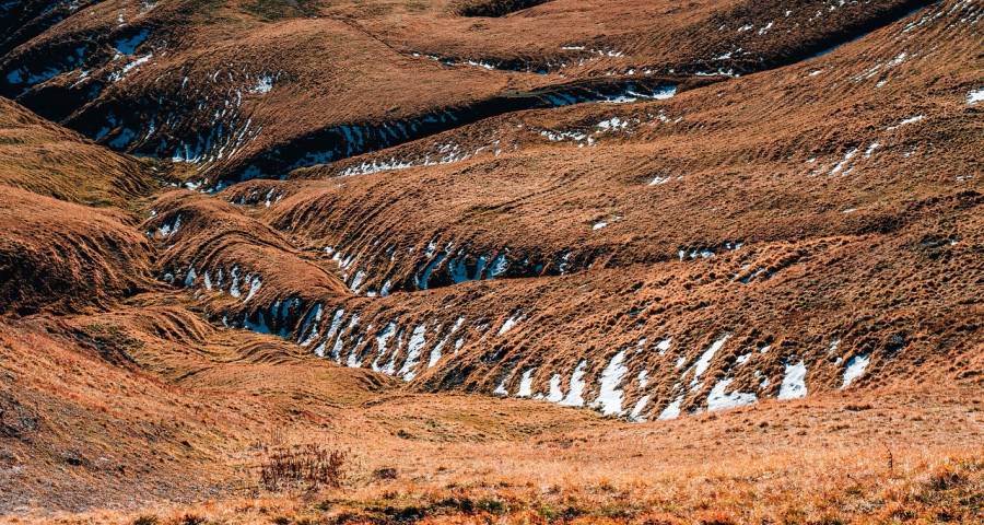 心太软的企业在家电业干不成大事-家电圈官网