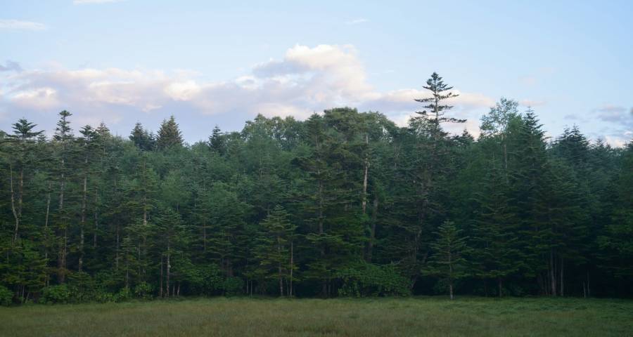 透过家电2022年的苦难，发现2023年的市场机会-家电圈官网