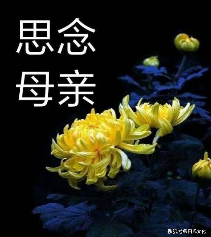 【田氏文化】思母泪 文/田秀荣_母亲_网络平台_亲娘