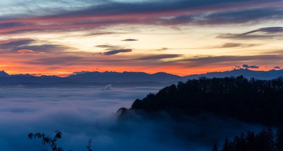 新年开局家电消费复苏强劲，但一线价格内卷再度恶化-家电圈官网