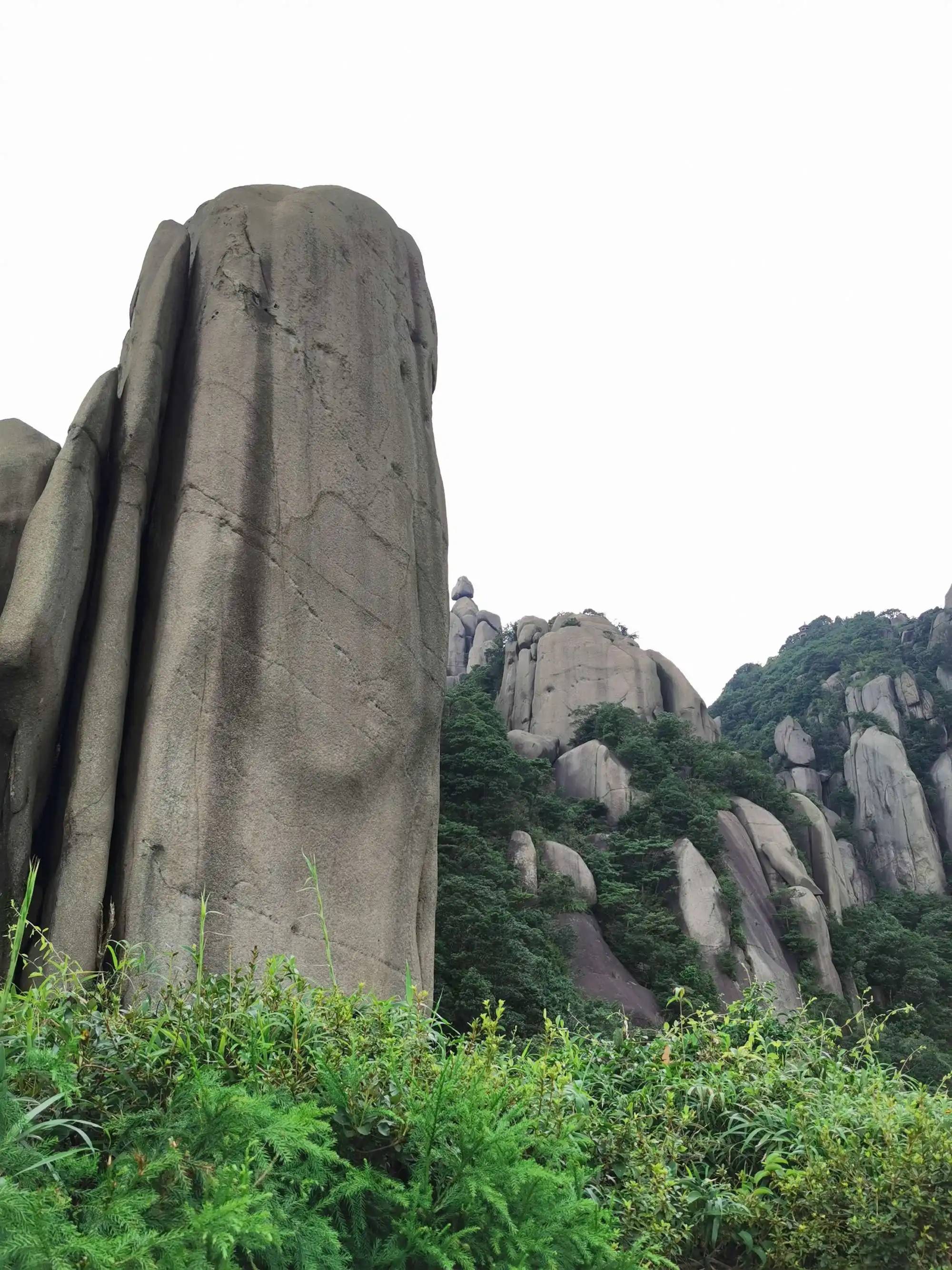 太姥山仙人锯板图片