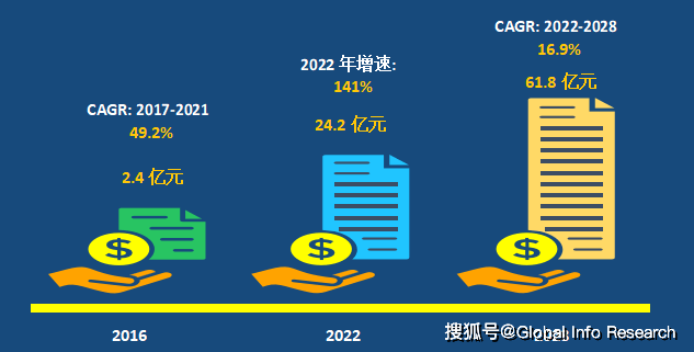 2023-2029中國電池級硫酸錳市場現狀研究分析與發展前景預測報告 