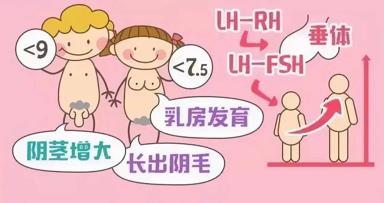 12岁女孩胸围图片