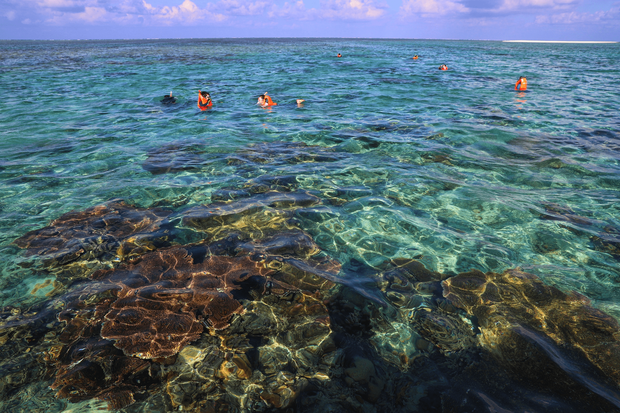 西沙群岛的美景 潜水图片