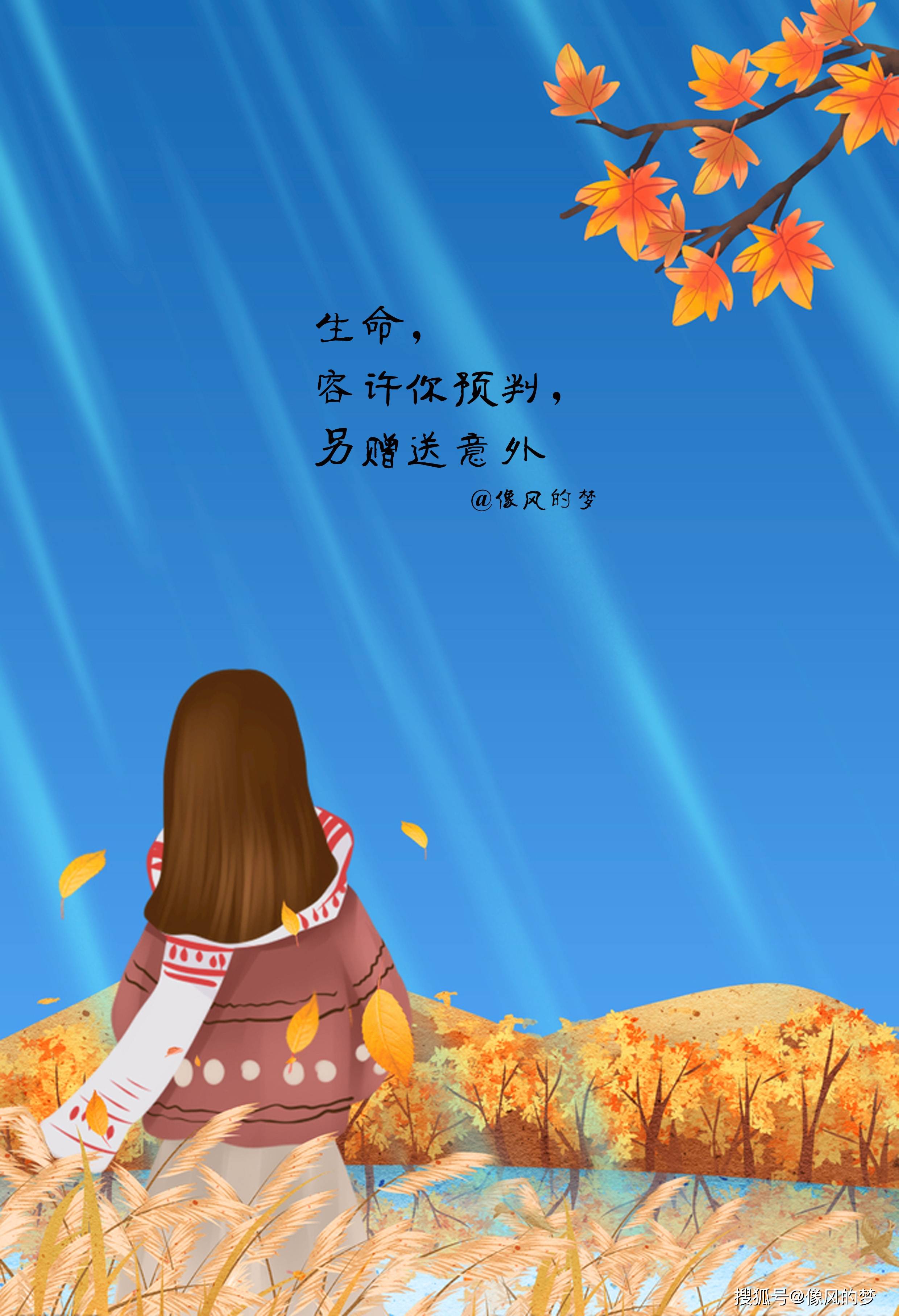 手机看视频卡怎么办_看视频的电话卡_办手机卡录视频