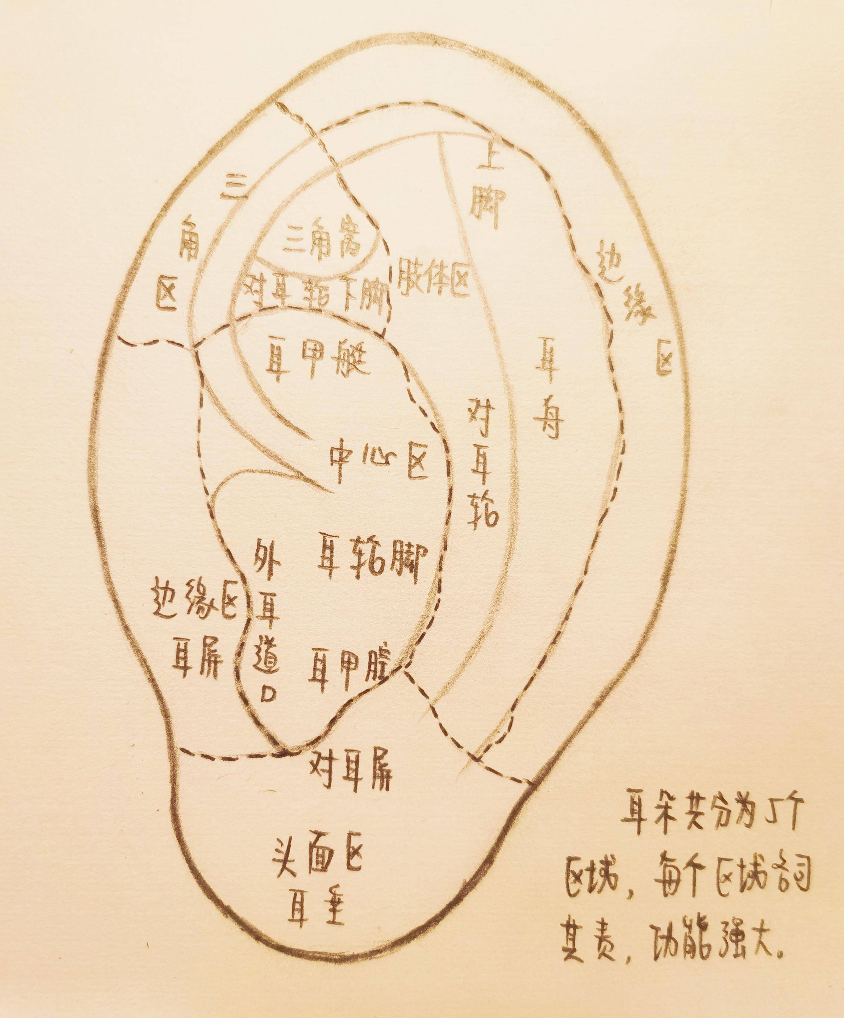 全国爱耳日 