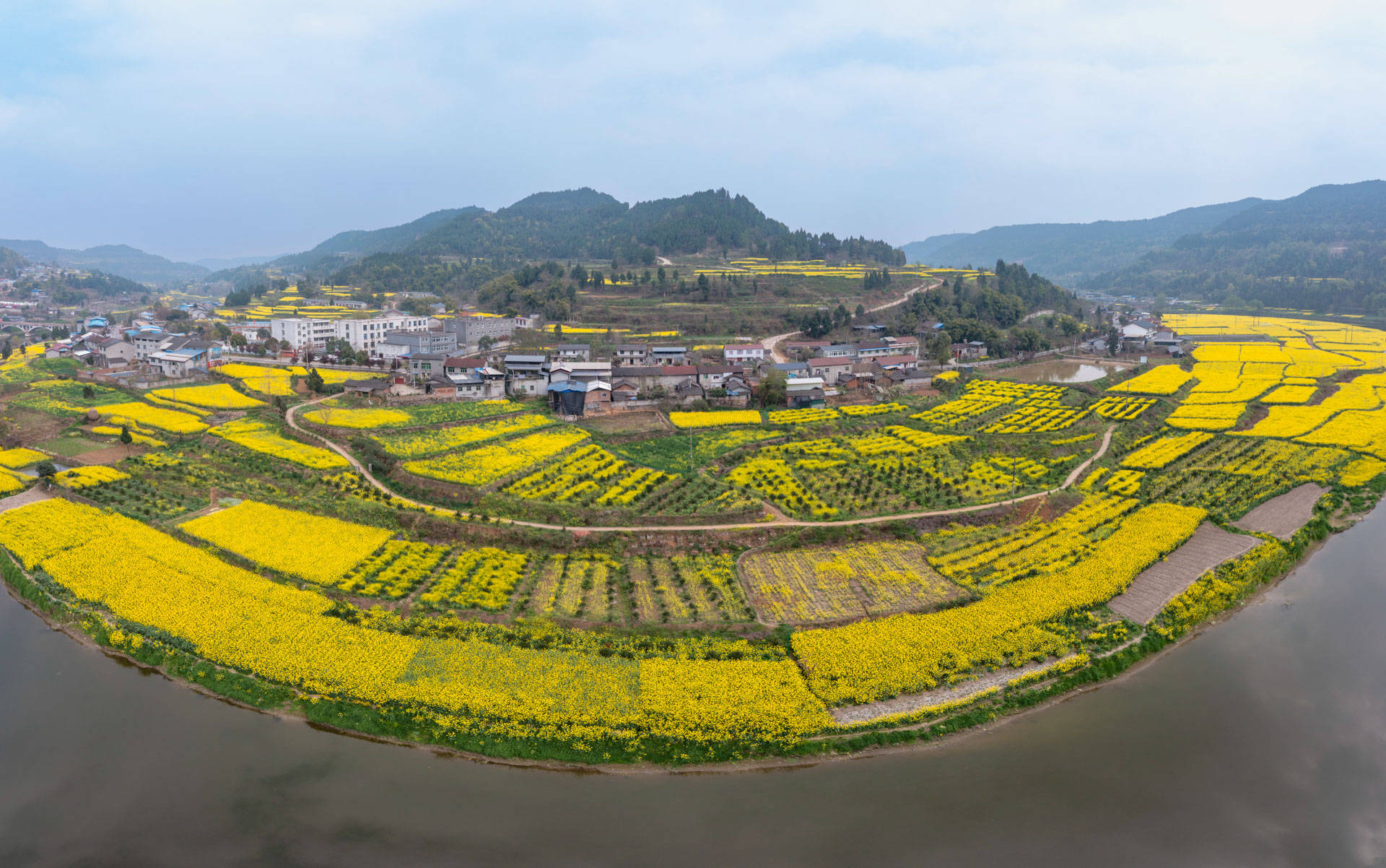 四川德阳旌阳区:双东镇"赏花经济"推进乡村振兴_李花_旅游_活动