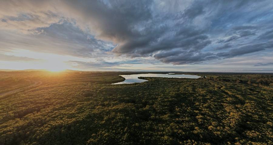 今年国内市场竞争再添一股商业冲击波-家电圈官网