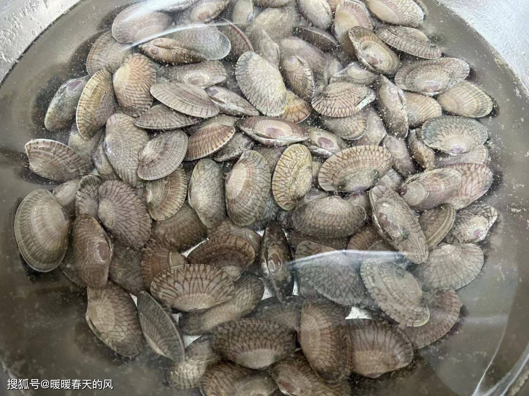 姜葱炒油蛤怎么做_姜葱炒油蛤的做法_张小厨厨房_豆果美食