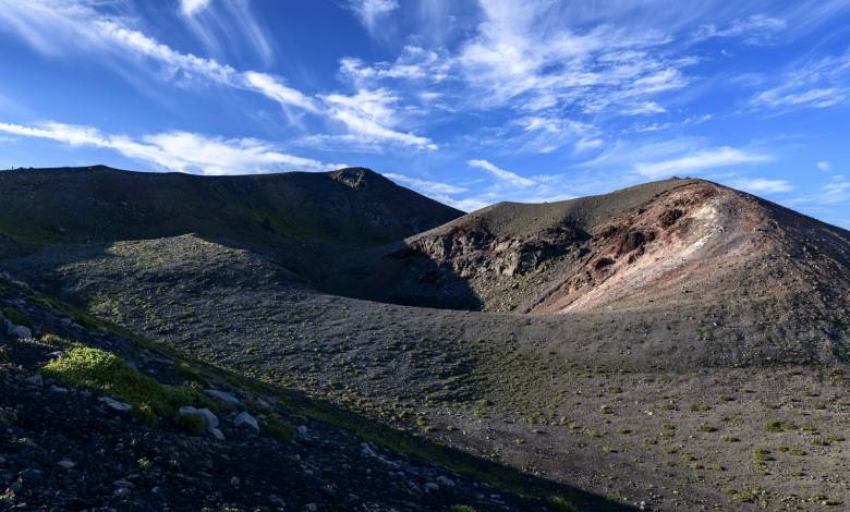 从索尼新品阵容看今年彩电企业经营思路之变：聚焦与恶战-家电圈官网