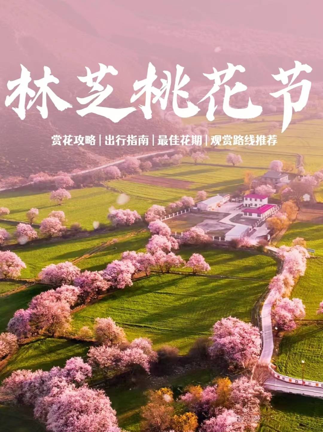 林芝桃花节详细攻略_海拔_高原_波密