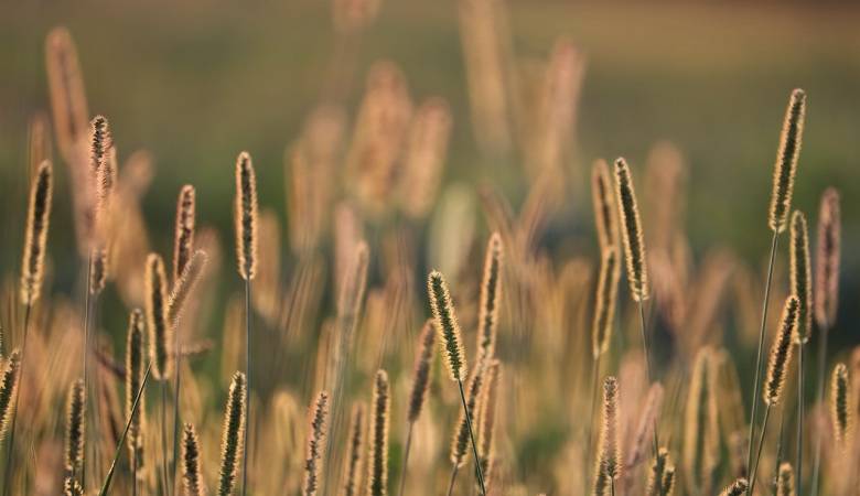 家电服务只是小问题,大量山寨产品才是用户心头大患-家电圈官网