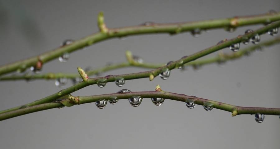 家电市场压力大！格力海信美的海尔领新潮，美菱方太TCL破僵局-家电圈官网