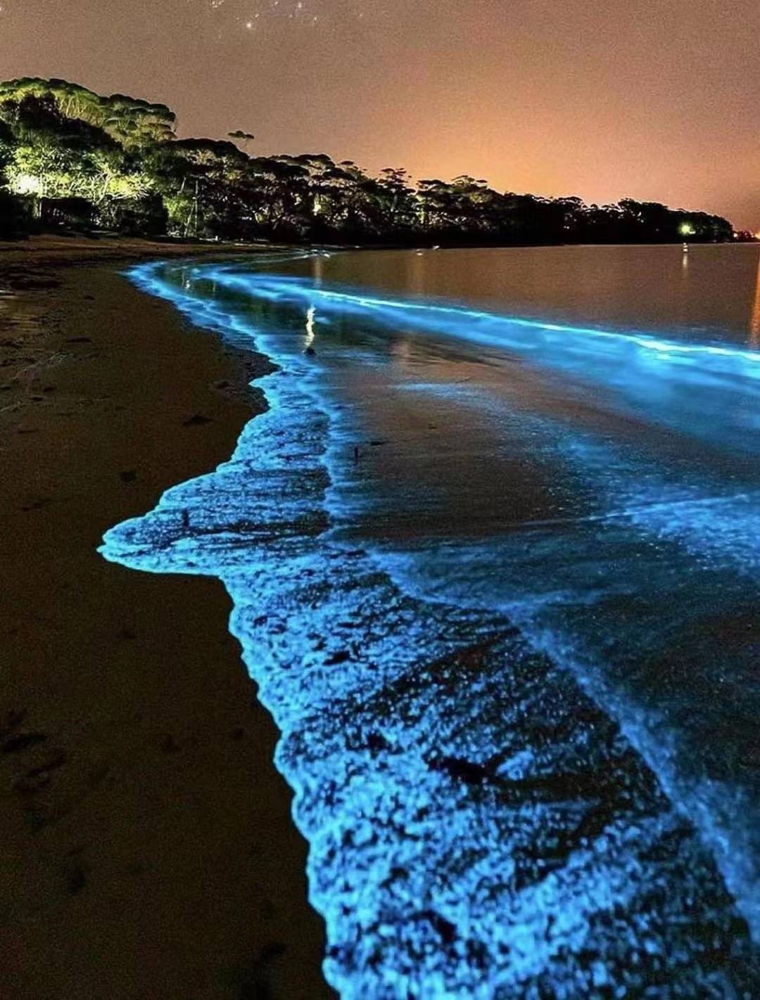 深圳大鹏海,再现蓝眼泪_夜光_海域_海水