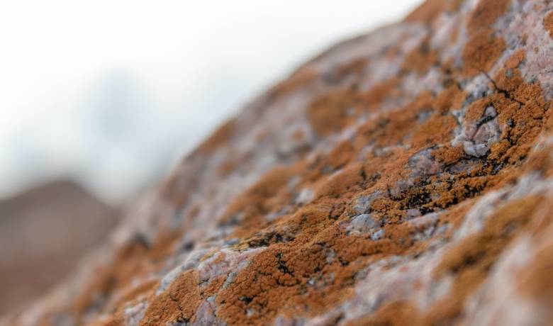 集成灶市场退烧是好事，挤出泡沫让优质企业稳稳地做强-家电圈官网