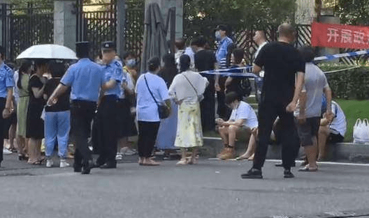 重庆姐弟坠亡案二审将于4月3日开庭：女的，想尽一切辩护诉求_张波_陈美霖_孩子