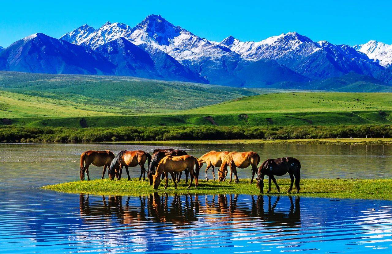 景点大全张掖旅游图片_张掖旅游景点排名前十_张掖旅游景点大全