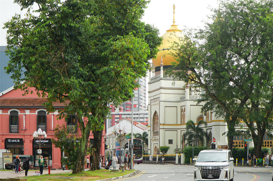 新加坡:五脚基下风情(一) 目迷五色之"小穆斯林"_甘榜格_马来_孤岛