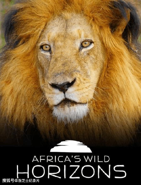 【159】史密森频道《非洲狂野地平线 Africas Wild Horizons 2020》第1-2季全11集 英语外挂中英双字 官方纯净版 1080P/MKV/35.8G 南非大自然