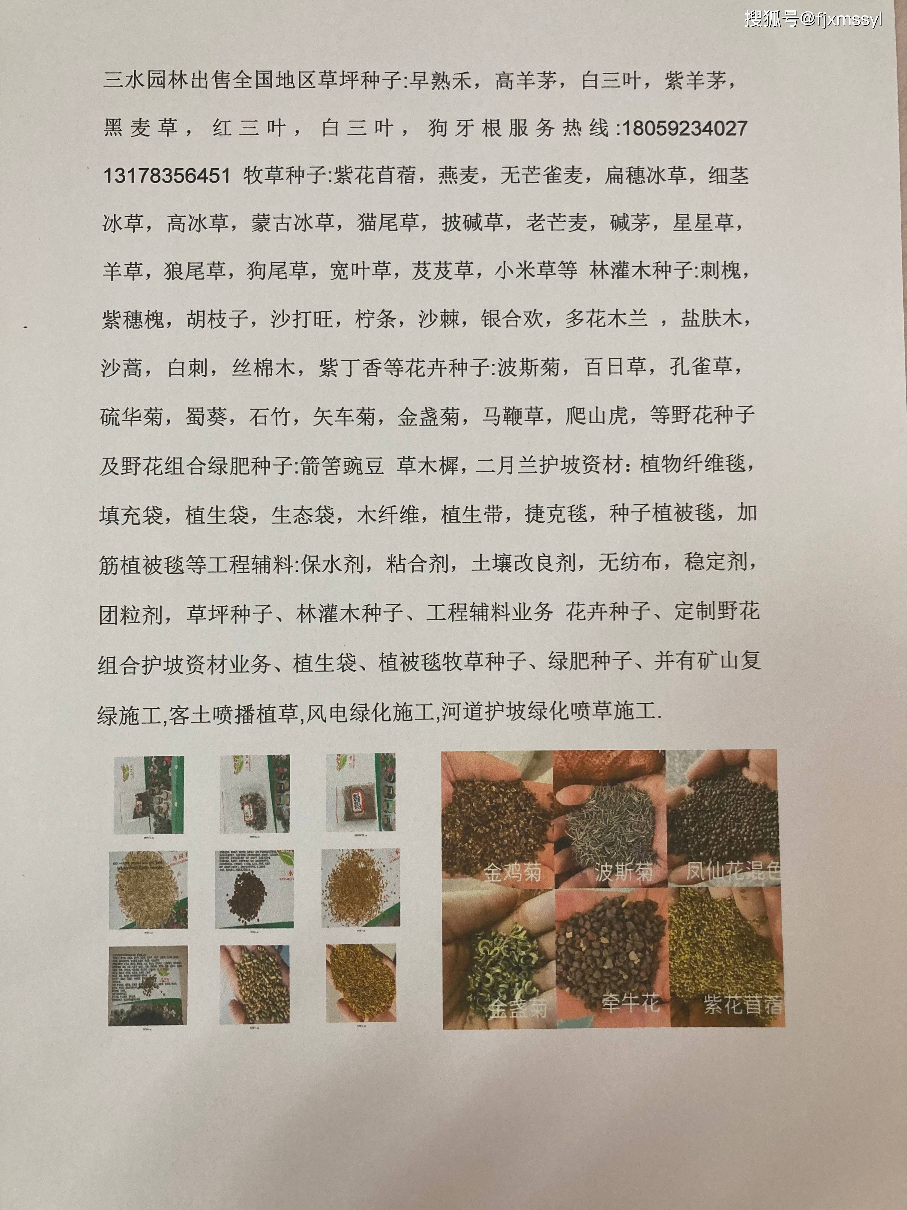 辽宁吉林黑龙江园林绿化草籽种子