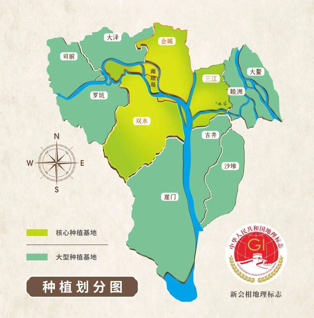 翡翠岛上的葵乡孖宝,藏不住了!_新会_南坦_种植