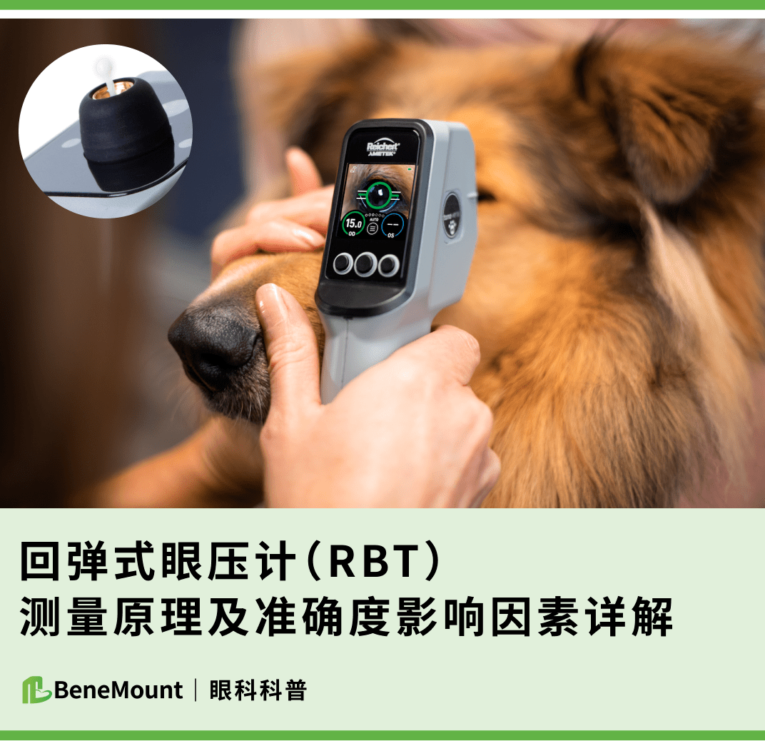 眼科科普|回弹式眼压计测量原理及准确度影响因素详解_角膜_探针_动物