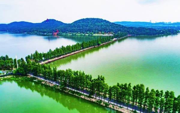 上图:武汉市东湖生态旅游风景区的磨山景区与长堤绿道.